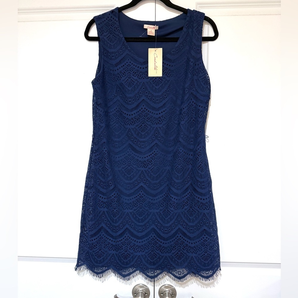 Chic Navy Lace  Dress NEW no belt